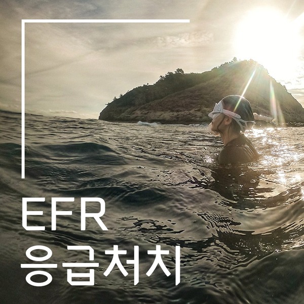 [EFR] EFR(Emergency First Response) 응급처치과정